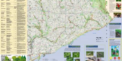 Mapa ng parke at trails sa paglalakad Silangan ng Toronto