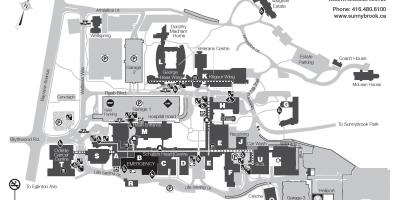 Mapa ng Sunnybrook Health sciences center - SHSC